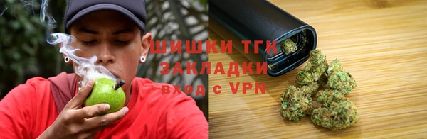 крисы Зерноград