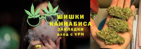 гидропоника Инта