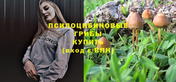 прущая мука Инсар
