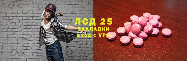 прущие грибы Иннополис