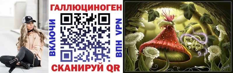 Псилоцибиновые грибы GOLDEN TEACHER  Купить закладки  Звенигово 